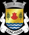 Coat of arms of Concavada