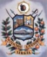 Coat of arms of Nirgua