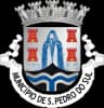 Wappen von São Pedro do Sul