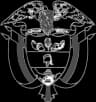 Coat of arms of Puente Nacional