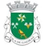 Coat of arms of Gaeiras