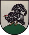 Wappen von Hahnenknoop