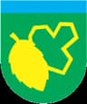 Wappen von Gemeinde Žalec
