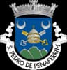 Wappen von São Pedro de Penaferrim