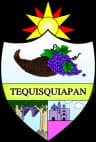 Wappen von Tequisquiapan