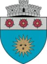 Coat of arms of Solești