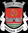 Wappen von Freguesia de Nevogilde