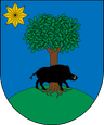 Coat of arms of Doneztebe/Santesteban