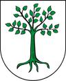 Coat of arms of Kruszwica