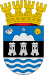 Coat of arms of Los Andes