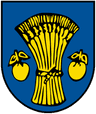 Coat of arms of Jungingen