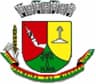 Wappen von Palmeira das Missões