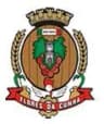 Wappen von Flores da Cunha