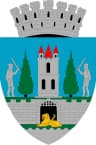 Wappen von Satu Mare