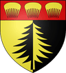 Wappen von Oyonnax