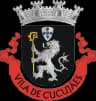 Wappen von Vila de Cucujães