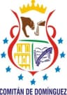 Coat of arms of Comitán de Domínguez