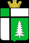 Coat of arms of Tayshet