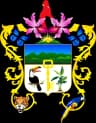 Wappen von Tingo María