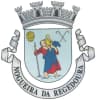 Wappen von Nogueira da Regedoura
