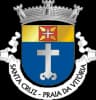 Coat of arms of Santa Cruz