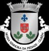 Coat of arms of Nossa Senhora da Piedade