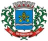Wappen von São Pedro do Sul