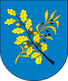 Wappen von Dsjarschynsk