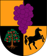 Coat of arms of Villa Alegre