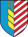 Wappen von Salihorsk