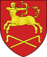 Wappen von Staryja Darohi