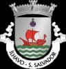 Wappen von Ílhavo (São Salvador)