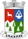Wappen von Bordschomi