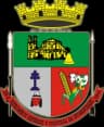 Wappen von São Miguel das Missões