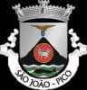 Coat of arms of São João