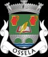 Wappen von Ossela