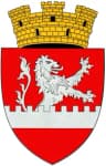 Coat of arms of Leova