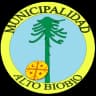 Wappen von Alto Biobío