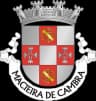 Wappen von Macieira de Cambra