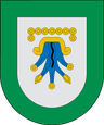 Coat of arms of Chignahuapan