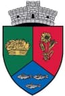 Coat of arms of Vișani