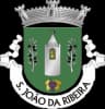 Coat of arms of Freguesia de São João da Ribeira