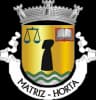 Coat of arms of Matriz