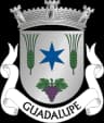 Coat of arms of Guadalupe