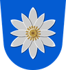 Coat of arms of Luopioinen