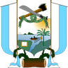Coat of arms of Guapi