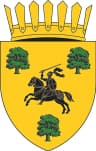 Coat of arms of Tigheci
