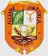 Coat of arms of Allende