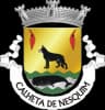 Coat of arms of Calheta de Nesquim