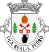 Coat of arms of Freguesia de São Pedro